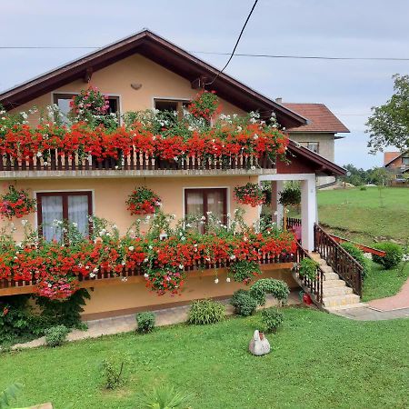 Apartman Morana Szluin Kültér fotó